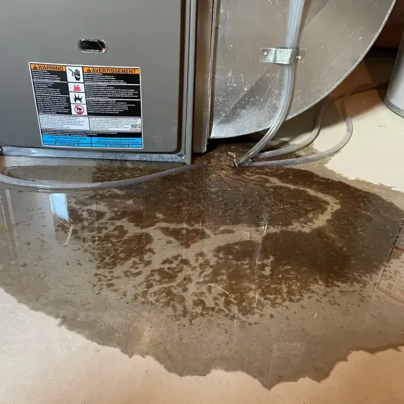 Appliance Leak Cleanup in Webster County, KY